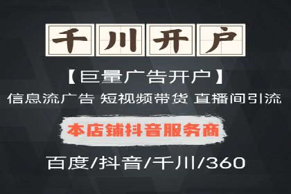 从小白到高手：百度竞价赚钱全记录